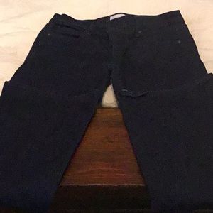 Loft Flare Jeans